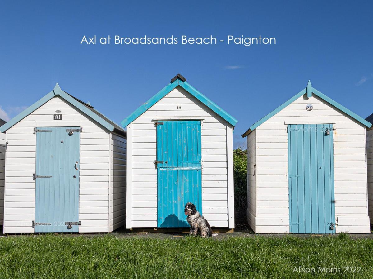 Dart Haven - Cheerful Holiday Bungalow In Galmpton Exteriér fotografie